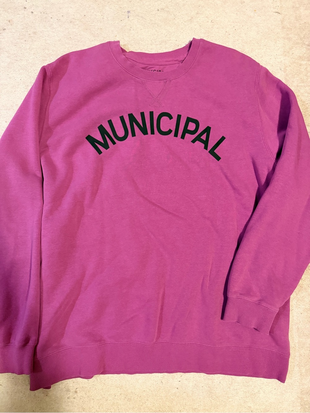 Municipal Crewneck Sweatshirt in Berry